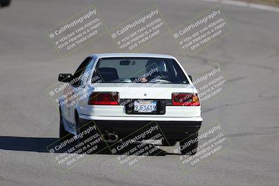 media/Nov-19-2023-Extreme Speed (Sun) [[bd0eec5490]]/Purple/Back Shots/